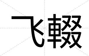 飞輟