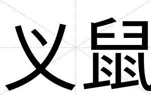义鼠