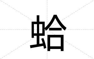 蛤