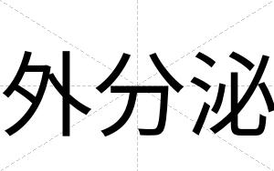 外分泌