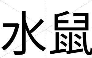 水鼠