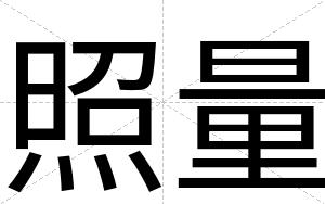 照量