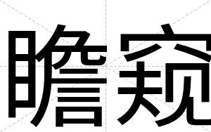 瞻窥