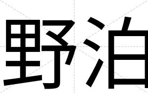野泊