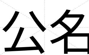 公名
