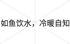 如鱼饮水，冷暖自知