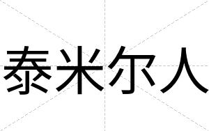 泰米尔人