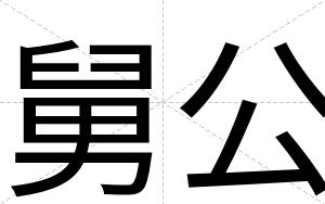 舅公