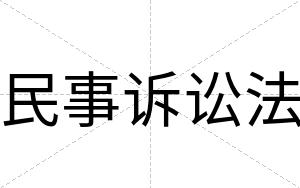 民事诉讼法