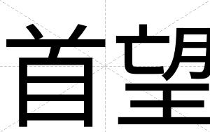 首望