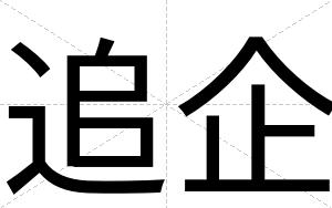 追企