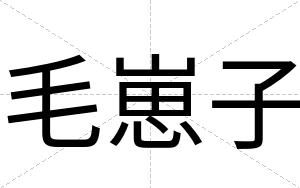 毛崽子