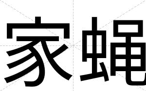 家蝇