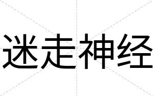 迷走神经