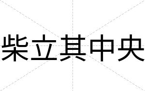 柴立其中央