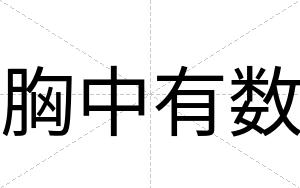 胸中有数