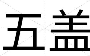 五盖
