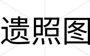 遗照图