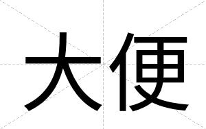 大便