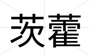 茨藿