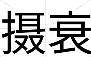 摄衰
