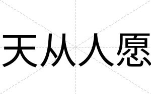 天从人愿