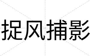 捉风捕影