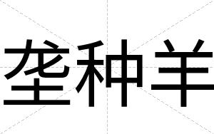 垄种羊