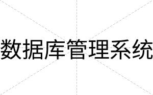 数据库管理系统