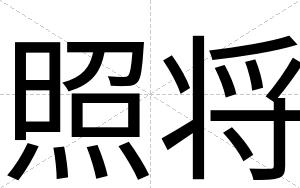 照将