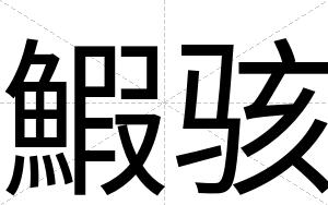 鰕骇