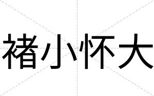 褚小怀大