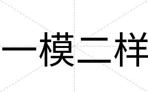 一模二样
