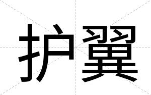 护翼
