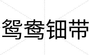 鸳鸯钿带