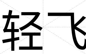 轻飞