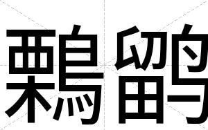 鷅鹠