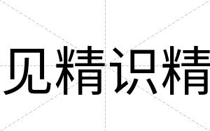 见精识精