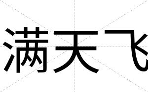满天飞