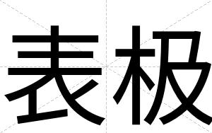 表极