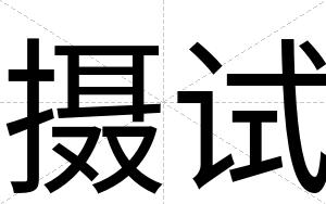 摄试