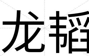 龙韬