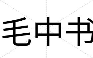 毛中书