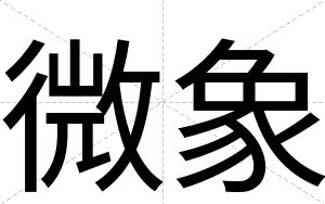 微象