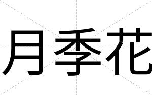 月季花