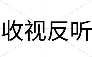 收视反听