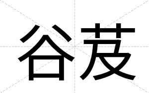 谷芨