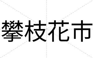 攀枝花市