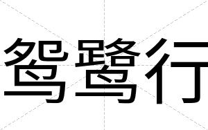 鸳鹭行