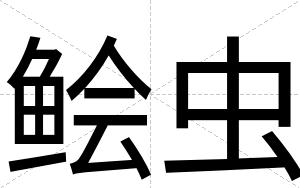 鲙虫